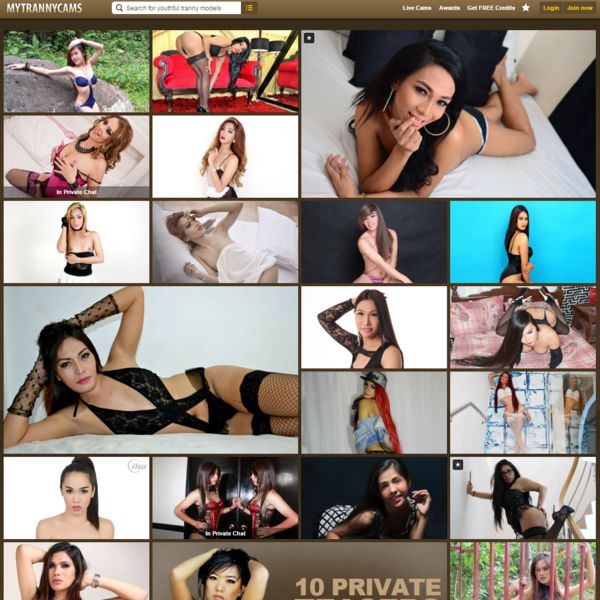mytrannycams